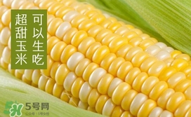 水果玉米是轉(zhuǎn)基因的嗎？水果玉米可以生吃嗎