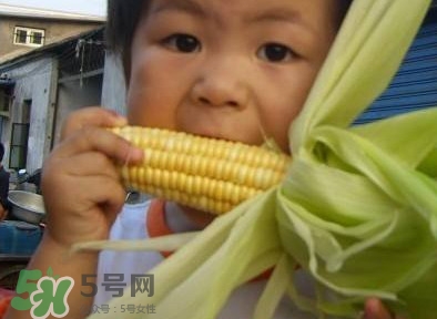 水果玉米是甜玉米嗎？水果玉米和甜玉米的區(qū)別