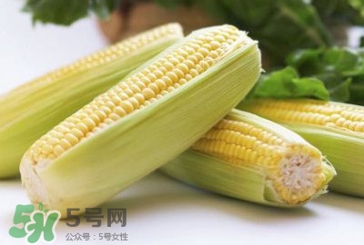 水果玉米可以多吃嗎？吃水果玉米有什么好處