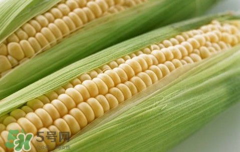 水果玉米熱量高嗎？一根水果玉米的熱量是多少