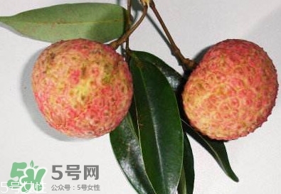 雞嘴荔枝多少錢一斤2017？香山雞嘴荔枝什么價(jià)錢