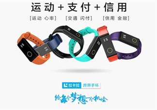 拉卡拉手環(huán)多少錢？拉卡拉手環(huán)價格