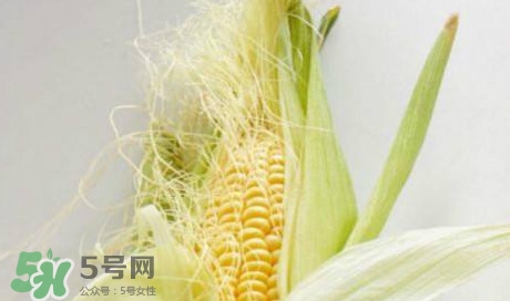 玉米須煮水可以去胎毒嗎？去胎毒玉米須水怎么煮