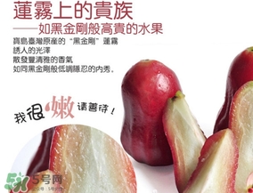 黑金剛蓮霧好吃嗎？黑金剛蓮霧多少錢一斤2017？