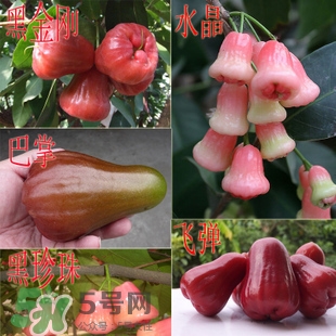 蓮霧什么季節(jié)吃最好？什么品種的蓮霧最好吃