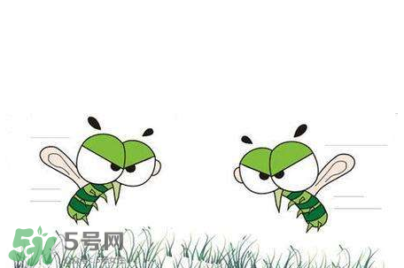 招蚊子是什么原因？招蚊子體質(zhì)怎么辦？