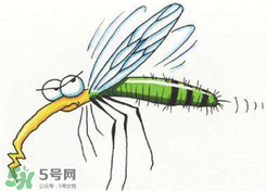 招蚊子是什么原因？招蚊子體質(zhì)怎么辦？