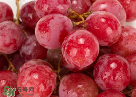 提子什么季節(jié)成熟？提子什么時(shí)候上市？