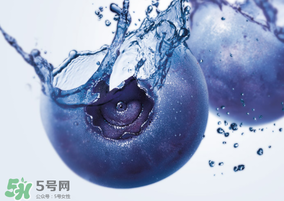 藍莓熱量高嗎？藍莓醬熱量高嗎？