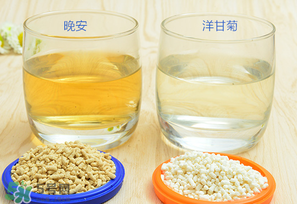 美林菊花晶一天喝幾次？美林菊花晶一天喝多少？