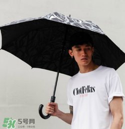 clot荊棘雨傘在哪買？clot荊棘雨傘怎么買？