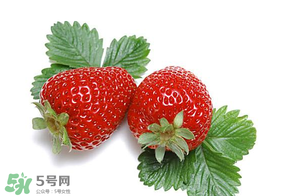 夏天有草莓嗎？夏天草莓結(jié)果嗎？