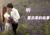 六月份還有薰衣草嗎？6月份哪里有薰衣草？