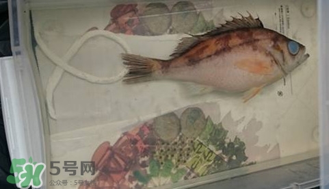 福爾馬林是什么？福爾馬林是甲醛嗎