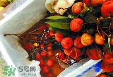 荔枝為什么要用藥水泡？荔枝藥水浸泡是否安全？