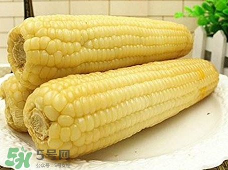 糯玉米怎么保存時間長？新鮮的糯玉米如何保存