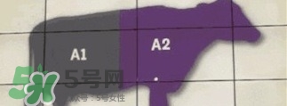 A2奶粉斷貨用什么奶代替最合適？與A2奶粉相近的奶是什么