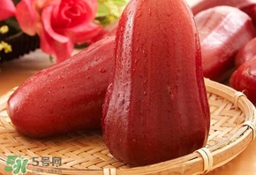 蓮霧什么季節(jié)吃最好？什么品種的蓮霧最好吃