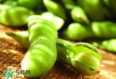 六月份可以種毛豆嗎？六月份毛豆怎么種植？