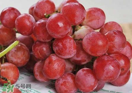 提子為什么會(huì)澀？提子澀怎么辦是沒(méi)熟嗎？