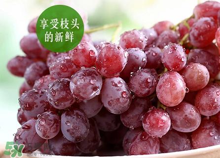 提子為什么會(huì)澀？提子澀怎么辦是沒(méi)熟嗎？