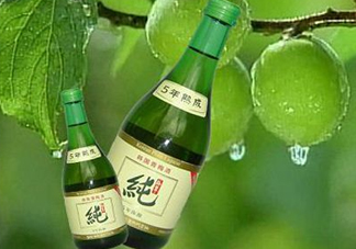青梅酒泡多久可以喝？青梅酒好喝嗎？