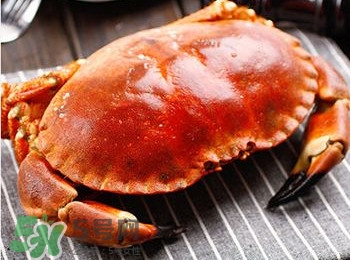 面包蟹是哪里產(chǎn)的？面包蟹哪里不能吃圖解