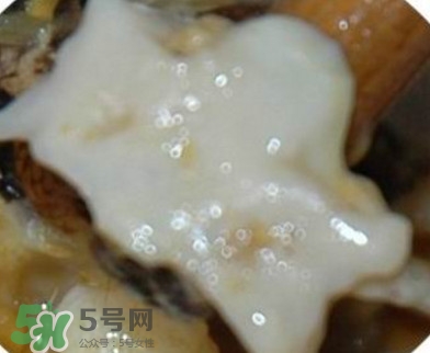 面包蟹是哪里產(chǎn)的？面包蟹哪里不能吃圖解