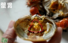 面包蟹是哪里產(chǎn)的？面包蟹哪里不能吃圖解