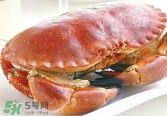 熟凍面包蟹好吃嗎？面包蟹是鮮活的好還是熟凍的好