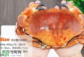 速凍面包蟹如何處理？活面包蟹怎么處理清洗