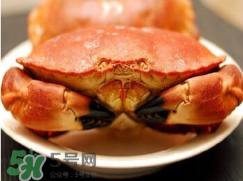 熟凍面包蟹怎么解凍？熟凍面包蟹要怎么清洗