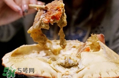面包蟹什么季節(jié)吃最好？面包蟹什么時(shí)候最有黃