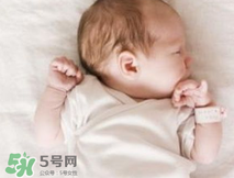 早產兒奶粉和普通奶粉的區(qū)別 早產兒奶粉的特點