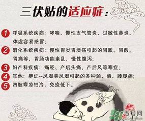 三伏貼能治什么病？三伏貼能治哪些?。?></p><h3 style=