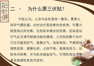 三伏貼能治什么?。咳N能治哪些?。?></p><p style=