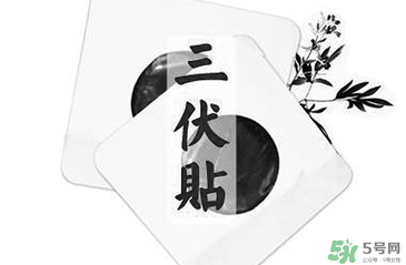 貼三伏貼注意事項(xiàng) 貼三伏貼要注意什么？