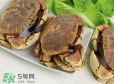 面包蟹為什么叫面包蟹？面包蟹為什么都是母蟹