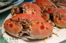 面包蟹什么季節(jié)吃最好？面包蟹什么時(shí)候最有黃