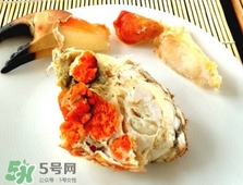 面包蟹是黃道蟹嗎？黃道蟹和面包蟹一樣嗎