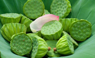 新鮮蓮子什么時候有？新鮮蓮子幾月有？