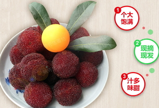 楊梅泡酒能放多久？楊梅酒保質(zhì)期