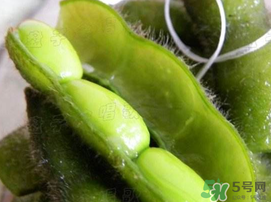 毛豆可以隔夜吃嗎？煮的毛豆隔夜還能吃嗎？