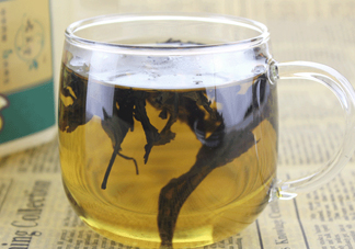 杜仲茶怎么泡？杜仲茶怎么喝