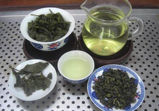 杜仲茶哪些人不適宜喝？杜仲茶飲用注意事項(xiàng)