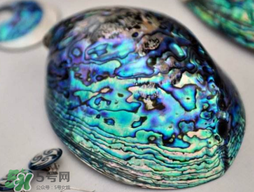 nike air foamposite one abalone鮑魚噴多少錢？