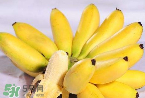 芭蕉和香蕉哪個貴？芭蕉和香蕉哪個好