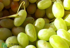 馬奶葡萄怎么保存？馬奶葡萄保存方法