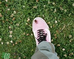 stussy與vans2017春夏系列聯(lián)名鞋子什么時(shí)候發(fā)售？