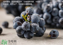 無(wú)籽葡萄孕婦能不能吃？無(wú)籽葡萄和葡萄的區(qū)別